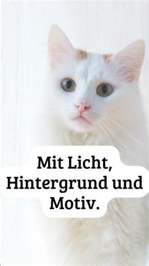 Was ist High-Key-Fotografie? Meine Erfahrungen aus dem Fotokurs