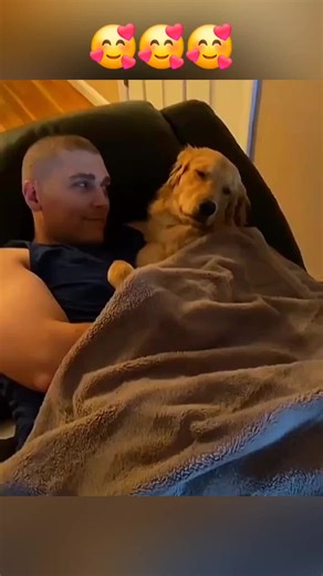 Exploring the Joy of Pets: Cats and Dogs