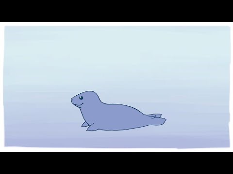 Fluffy Seal Animation