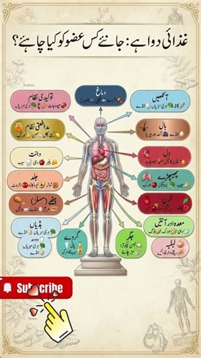 Best Foods for Every Body Organ | What Each Organ Needs to Stay Healthy