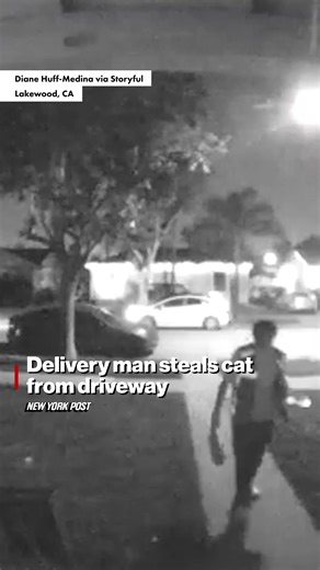 A delivery person steals a cat from a driveway, giving a whole new meaning to the term