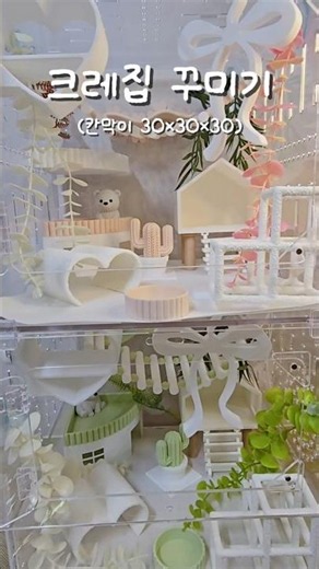 크레 칸막이 사육장 세팅 #크레스티드게코 #크레 #도마뱀 #파충류 #사육장꾸미기 #shorts
