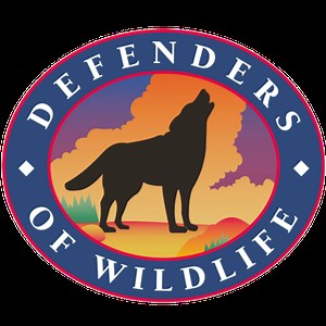 The Endangered Species Act 101: Section 7 v 10 | Center for Conservation Innovation