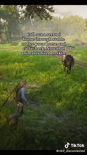 How to Sedate and Skin Legendary Animals in Red Dead Redemption 2