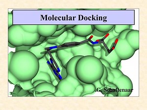 Molecular Docking - SlideServe