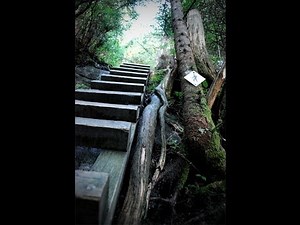 6,000 Ft - Day Hike - The Outdoor Gear Review