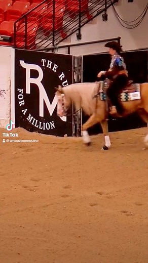 35 reactions | Emily Patton and Americas Got Talent owned by Four Star Quarter Horses at the Teton Ridge The Run For A Million marking at 215.5 #horse #horses #reining #therunforamillion #trfam #whoazoneequine | WhoaZone Equine | Facebook