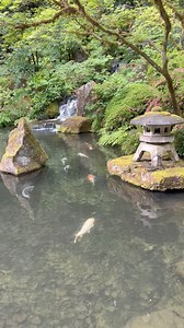 825 reactions · 91 shares | The perfect family destination, with art exhibitions, cultural demonstrations, and revitalizing nature. | Portland Japanese Garden | Facebook