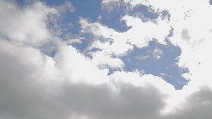 Kipu Ranch Adventures is a 4x4 off-roading touring operation, we are proud to be one of the top eco-tours in Hawai’i. One of our goals is to encourage visitors and residents to join us in discovering the rich history, landscape and culture that make Kipu Ranch so unique. #KipuRanchAdventures #KipuRanch #Kipu #KipuKai #OffRoading #4x4Life #AdventureTime #AdventureSeeker #Kawasaki #KawasakiFleet #Vehicles #KawasakiStrong #LetHawaiiHappen #Kauai #Hawaii #UTVTours #ATVTours #SafariTours #JeepTours #