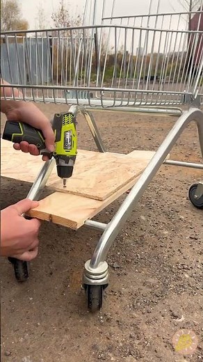 Vom Einkaufswagen zum gemütlichen Hundespaziergang! 😏🐾