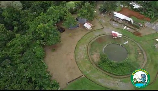 Finca y Restaurante Las Tilapias, dónde puede recrearse con su familia. Estamos ubicados en la Guaira de Guácimo, carretera a Río Jiménez, a tan solo 4 kilómetros del centro de Guácimo. Aquí le tiene un menú exquisito o puede pescar la Tilapia que desea llevar, o que se la cocinen al instante, recorrer el sendero para recargarse de energía y respirar el aire puro de la naturaleza. Es una experiencia muy bella para toda la familia. Un lugar apto para toda la familia. Le invitamos a conocer este h