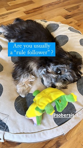 1.3K views · 15 reactions |  Rules don’t work in the long run,...