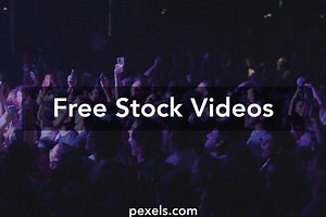 Clubbing Party Videos, Download The BEST Free 4k Stock Video Footage & Clubbing Party HD Video Clips