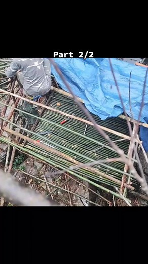 Crafting And Building a Shelter in the Wild | Outdoor Camping Tips