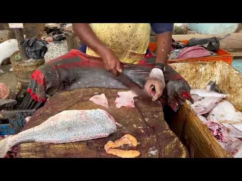Street Fish Cutting Skills – Insanely Fast Seafood Processing!