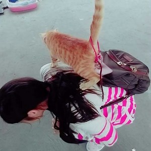 溫俞珺 - All videos @ The ASMR Index