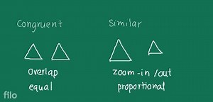 Triangle full chapter explanation... | Filo
