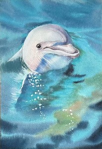 Original Dolphin Watercolor Painting: Aquatic Animal Art (W18 X H27 Cm) - Etsy