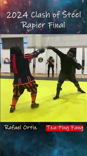 Highlights 67 #hema #Rapier #tournament