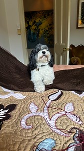 Walk with me through my morning as I prepare to sit and embroider. My legacy quilts are being represented in Sydney soon at the big international Quilt convention they will have all my quilts represented. The “van de Berg”, “Brave” and this…. “Earth and sky”! ( it’s as big as the exhibition building event if not bigger… super excited ) WOW! I have meetings today to discuss new tours and projects and also listening to mastering of @_gypsylee_ new single and EP!!!! Holy guacamole. This family is b