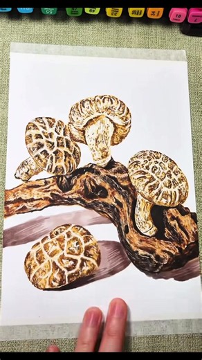 Mushroom Drawing Tutorial: Easy Mushroom Art Ideas