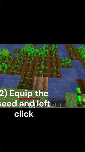 How To Plant A Seed In Minecraft TUT!