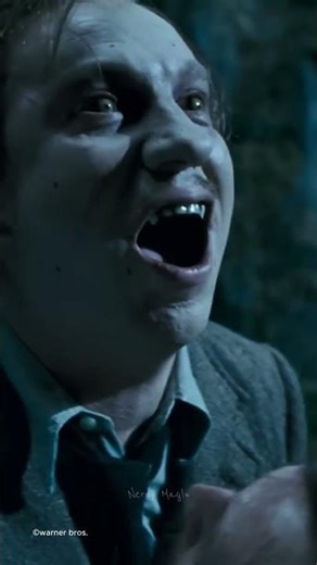 James Potter Facts Every Harry Potter Fan Should Know! #harrypotter #jamespotter #jamespotterfacts