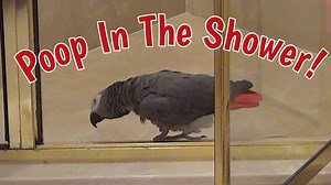 24K views · 2.4K reactions | Einstein says a lot in this video, but...