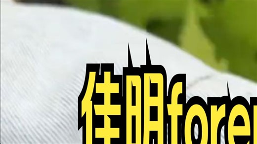 别纠结了！2025 入门跑表首选佳明 FR255，专业党和新手都适配Garmin佳明