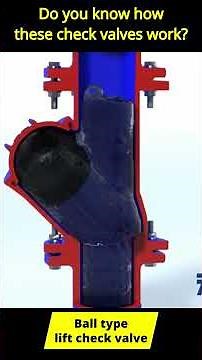 DO you know how check valve works