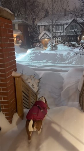 Dean on Instagram: "i know what snow sounds like… because it’s in my ear holes! ❄️"