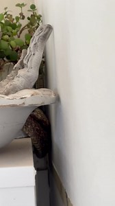 644K views · 7.7K reactions | Lana van 'n plaas buite Klipheuwel (n...