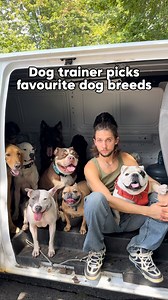 109K views · 115 reactions | THE ULTIMATE DOG BREED QUIZ ⁉️ . #dog #dogtraining #dogpsychology #dogbehavior #treadmill #doglover #dogtrainingtips #dogpack #reactionvideo #dogtrainerreacts #viral | Cherry Hoggs | Facebook