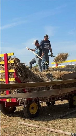 Steam powered threshing at the Steam O Rama in Halltown Missouri #shorts