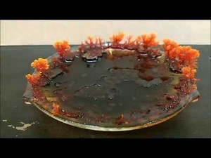 Time-lapse crystal growth