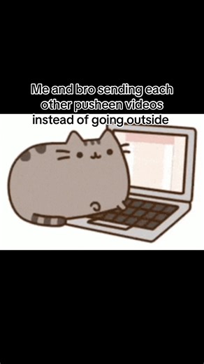 Pusheen Video Exchange with My Brother