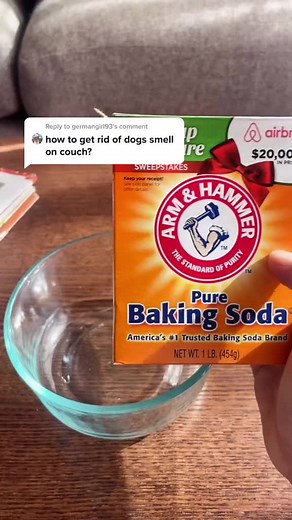 Easy Hacks to Remove Dog Smell from Your Couch