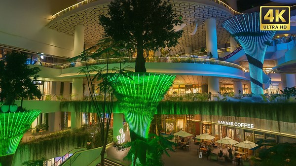 China Unveils a Breathtaking 3D Forest Mall – Like a Scene Straight Out of a Movie (4K HDR)