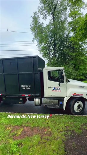 Expert Tree Service in New Jersey