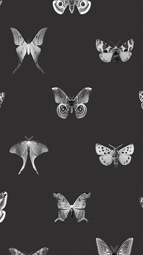 Join us on Thursday, March 23rd as we return to the iconic St. Ann & the Holy Trinity Church for a live night of vibrant true stories. Five storytellers will take the stage for our quintessential Moth Mainstage happening at one of the most beautiful spaces in Brooklyn. Tickets: https://bit.ly/3vHwN1Z | The Moth