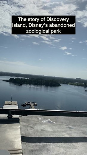 should Disney redevelop this island or leave it untouched? #disneyworld #abandoneddisney #disneysecrets #disneyparks #creepydisney #disneyfacts #disneyhistory #vintagedisney #magickingdom #imagineering #distok