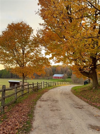 Golden Boys and Me on Reels