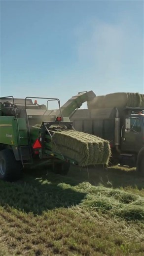 MORDERN SECRETS TO CLEAR THE LARGE GARDEN #mordernfarming #whatmillionarewatching