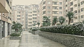 Snow Falls Over an Urban Area with Tall Buildings and Plants on a Winter Day in a City Setting Stock Footage - Video of architecture, clothing: 439325540