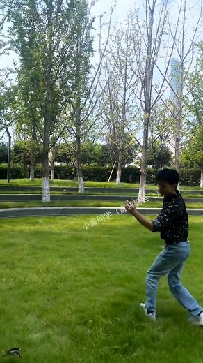 A Little Sugar Glider That Loves To Fly #cute #funny #animalrescue #animallover #trending | Animo