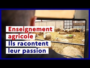 Enseignement agricole : une formation qui prépare à plus de 200 métiers