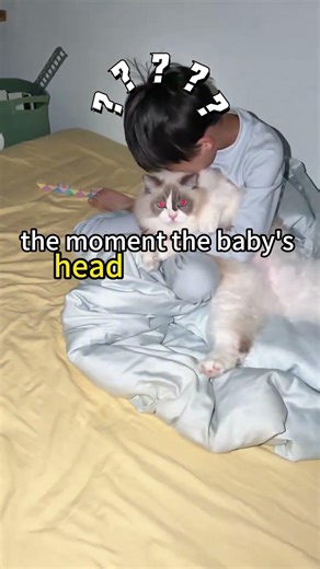 This cat is the ultimate "protector" of its babies! 🐱💪