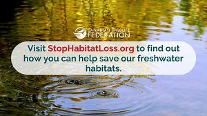 Canadian Wildlife Federation / Fédération canadienne de la faune on Reels | Facebook