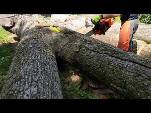 First Run of Echo CS7310P " X " Series Chainsaw