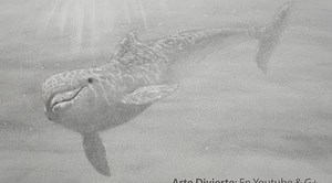 Draw a dolphin under water